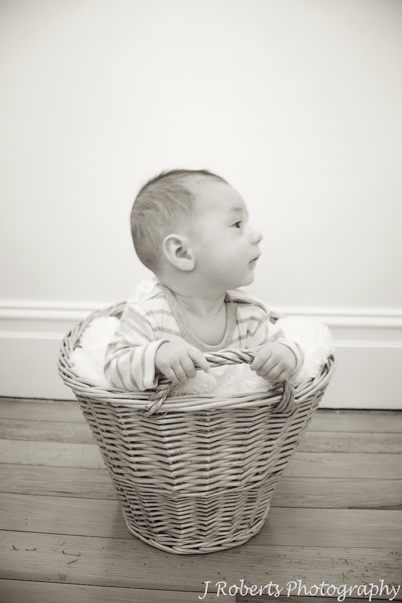 Baby in basket - baby portrait photography sydney